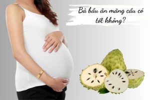 Cách ăn Mãng Cầu cho bà bầu như thế nào?